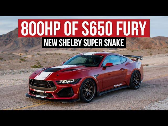 FIRST LOOK At The All-New 800hp 2024 Shelby Super Snake!