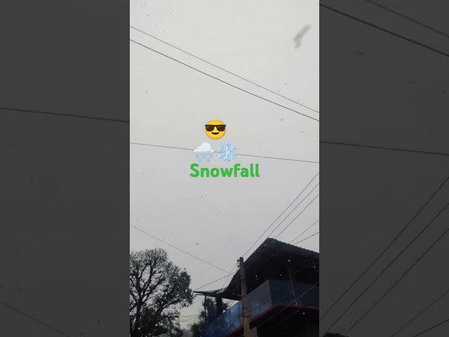 #snowfall Manali#fun#india #comedy #youtube #funny #smile #travel #snowfall Manali ️️