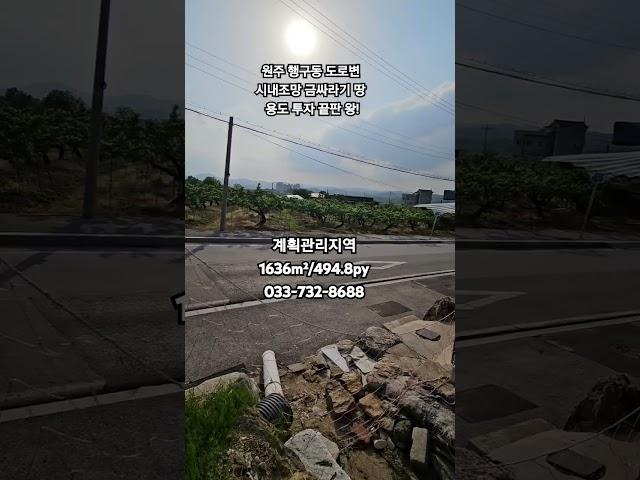 원주행구동 도로접한 시내조망 금싸라기 땅 투자 끝판왕! 4억5천만원 원주명당부동산033-732-8688 #원주행구동토지 #원주도로변토지 #원주토지투자 #원주부동산