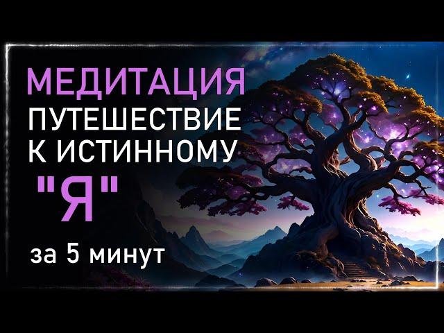 МЕДИТАЦИЯ Путешествие к Истинному Я: Просветление за 5 минут. Альбасавуа