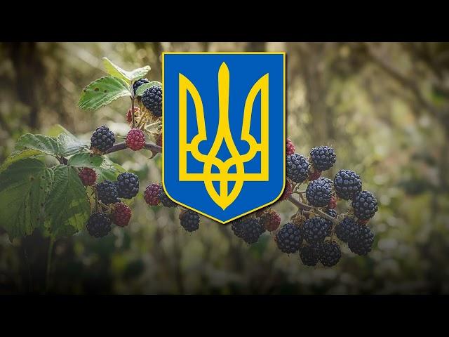 "Маруся" ("Marusya") - Ukrainian Folk Song