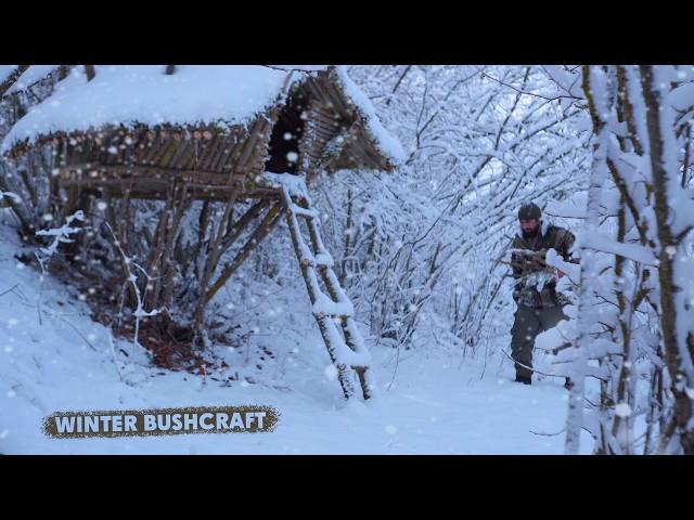 WINTER SURVIVAL in the Wilderness, Building a Bushcraft Shelter!