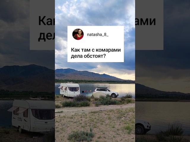 Живем в автодоме в Киргизии #автодом #travel #camping #природа