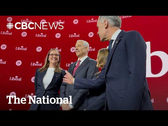 Liberals choosing new leader say online voting system has problems