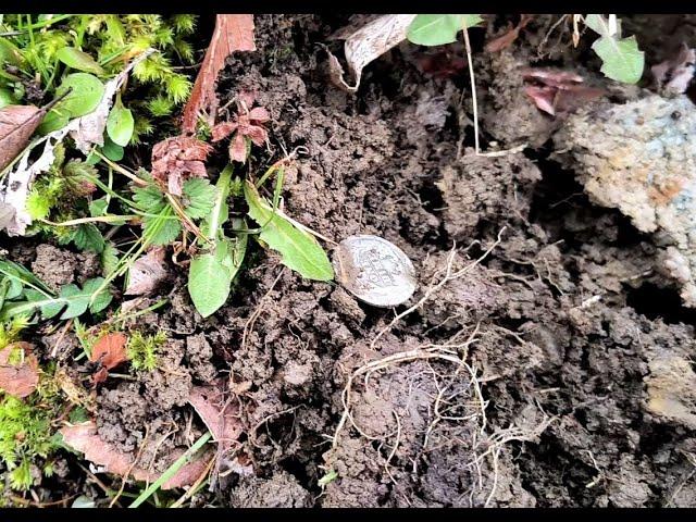 Barbers and Indians! Snatching Silver - Why use an Etrac?! Metal Detecting for Coins 2024