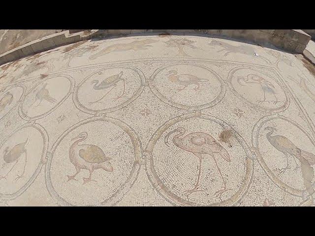 Caesarea. Birds Mosaic (part 2). Кейсария. Птичья мозаика (часть 2)