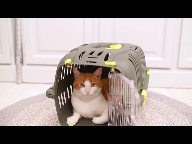 Jet pet carrier from Ferplast