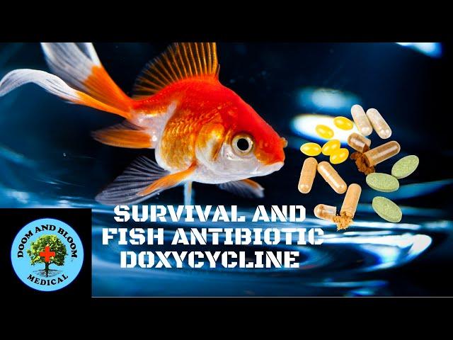 Antibiotic Doxycycline