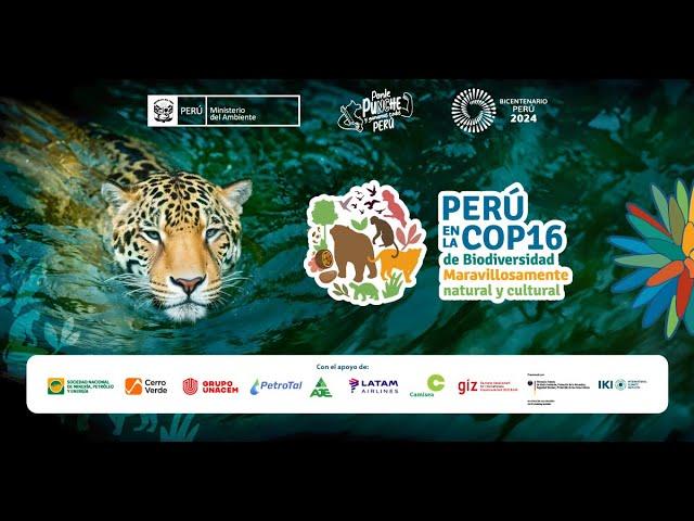 Perú en la COP16 | Biodiversidad y empresas