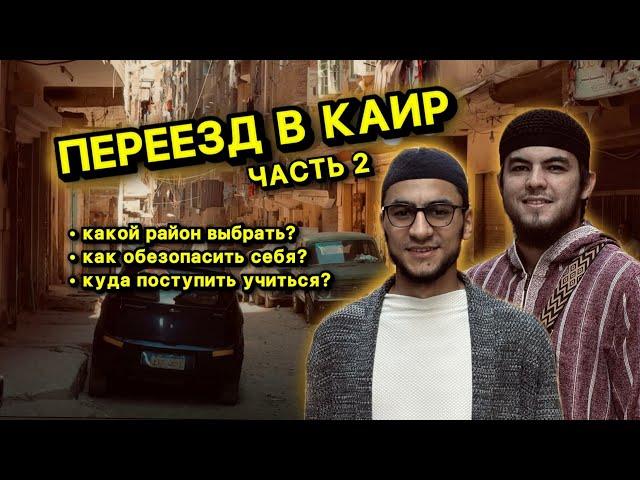 Переезд в Каир часть 2. Учеба и жизнь в Египте. Странник