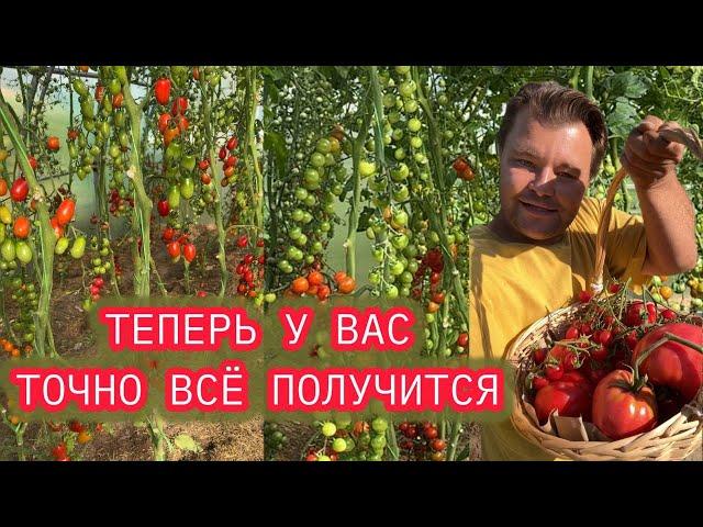 САМЫЙ ПРОСТОЙ СПОСОБ ВЫРАЩИВАНИЯ ТОМАТОВ. Основные правила от рассады до плодоношения.