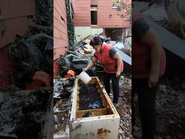 Работа с аукционными домами в Германии, спасибо за подписку