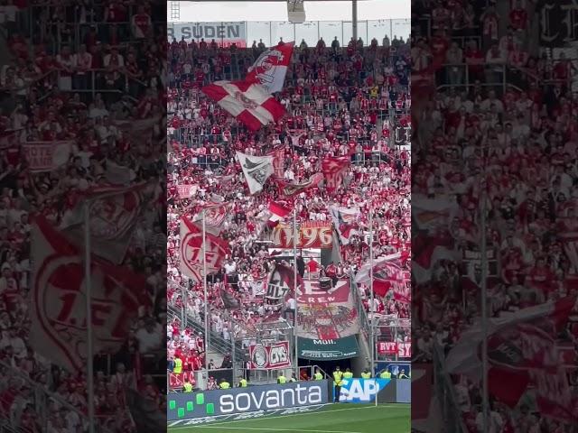 #FCKöln fans singing #bundesliga #fccologne