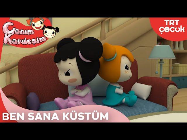 Canım Kardeşim - Ben Sana Küstüm