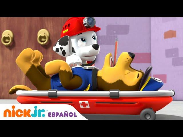 PAW Patrol, Patrulla de cachorros | ¡Chase se enferma! | Nick Jr. en Español