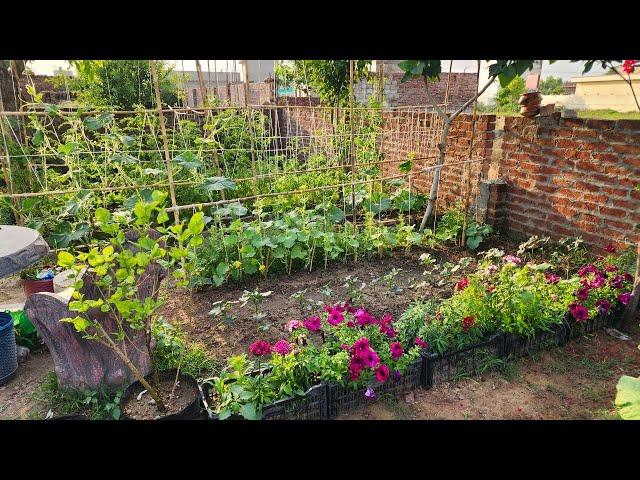 Insane Vegetable Garden Tour: You've Never Seen Anything Like This