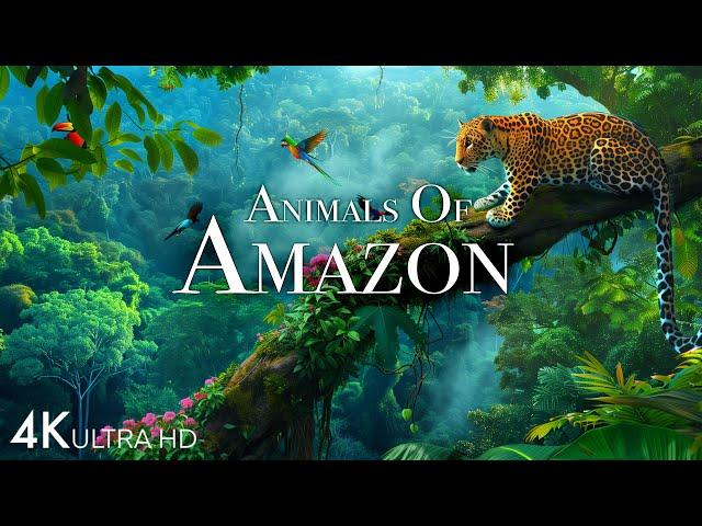 Animals of Amazon 4K - Animals That Call The Jungle Home | Amazon Rainforest |Scenic Relaxation Film