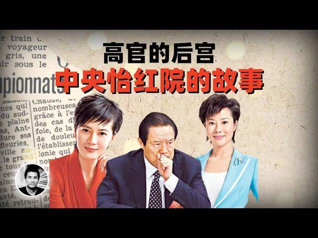 高官的后宫：中央怡红院的故事