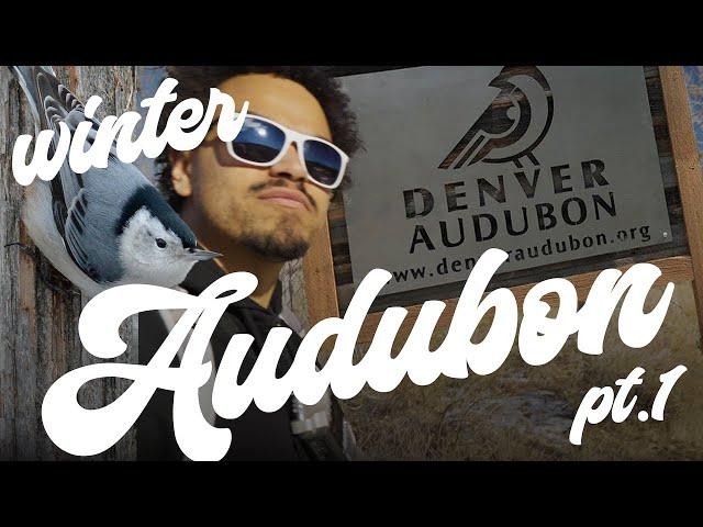 FIRST EPISODE! - Birding the Denver Audubon Center! | Lets Go Birding | part 1