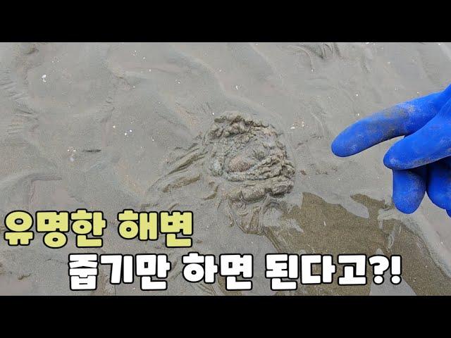 낮에가면 정말 줍줍한다는 해수욕장이 있다고?!  ft.하나개해수욕장