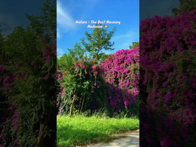 “Travel and nature are both my medicine.” ‍️️#minivlog #shorts #nature
