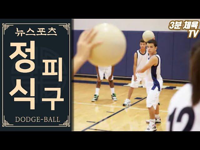 [3분 체육-피하기형경쟁] 정식피구(닷지볼) / 뉴스포츠 체육수업