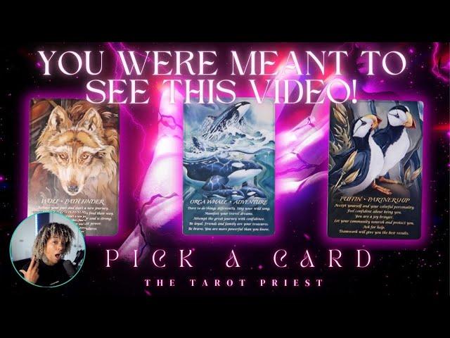 Exactly What You Need To Hear From The Universe!!! {PICK A CARD} **NOB.S ️‍️