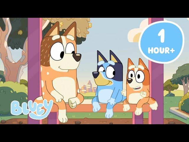 LIVE: Exploring Bluey's World   | Bluey's Best Moments of Discovery!  | Bluey