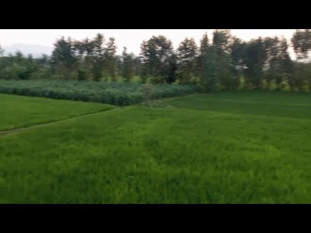 My Village Vlog | Beautiful Village in Pakistan | KPK Batkhela | by Sudais Salim