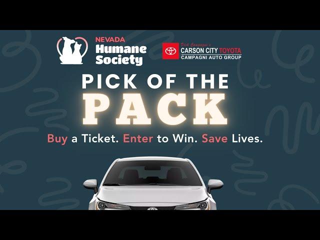 Carson City Toyota + Nevada Humane Society's PICK of the PACK