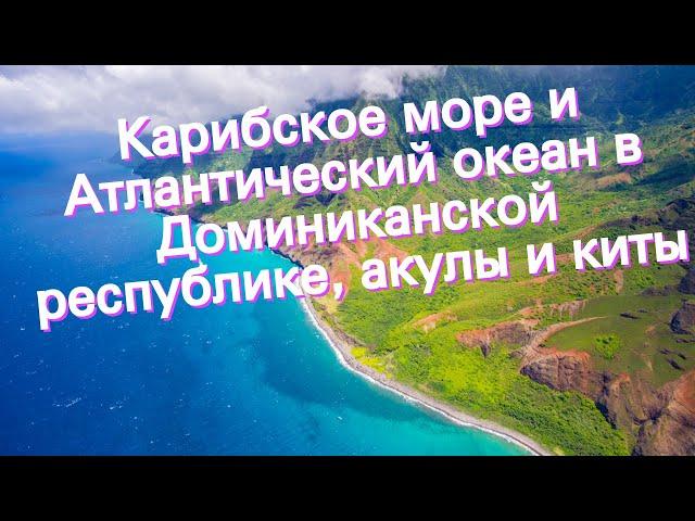 Карибское море и Атлантический океан в Доминиканской республике, акулы и киты