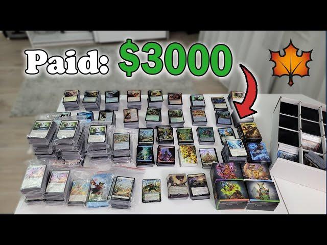 I Spent $3000 On MTG: Bloomburrow Products. Will I Make My Money Back?