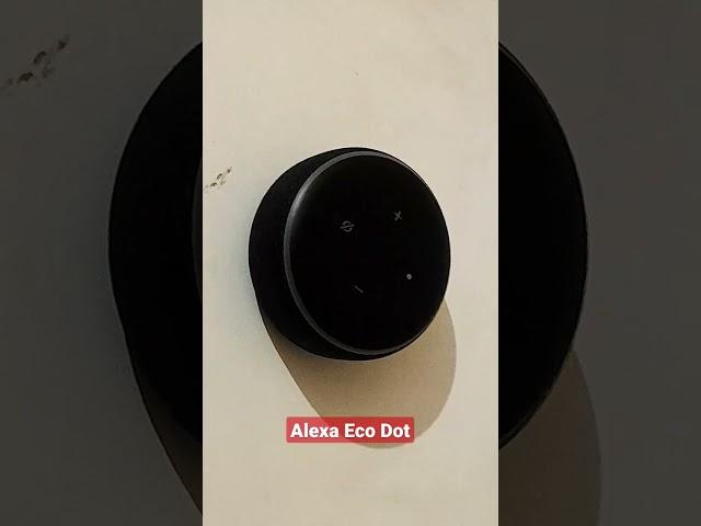 alexa eco mini speaker