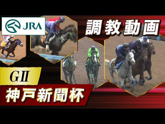 【調教動画】2024年 神戸新聞杯｜JRA公式