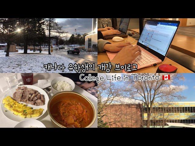 [ENG] 16. TORONTO VLOG: What I ate in a week | A college student‘s daily life vlog