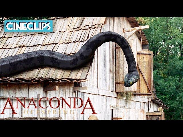 Killer Anaconda! | Anaconda 3: Offspring | CineStream