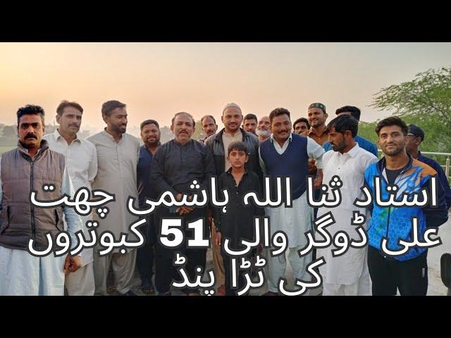 51 ️kabotron ke bazi ustad sanaullah Hashmi Chat Ali doger wali #kaboterbazi #pigeon #kabootar