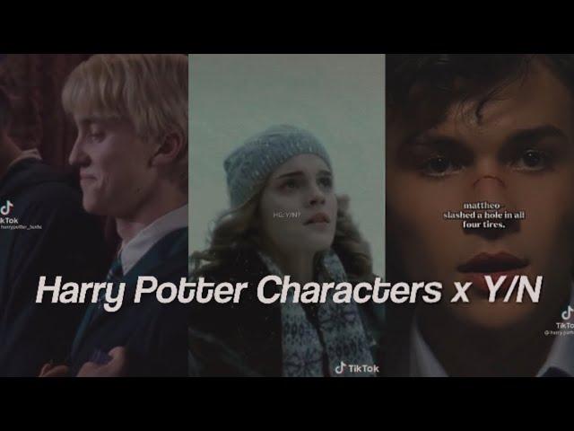 Harry Potter Characters x Y/N TikTok POV