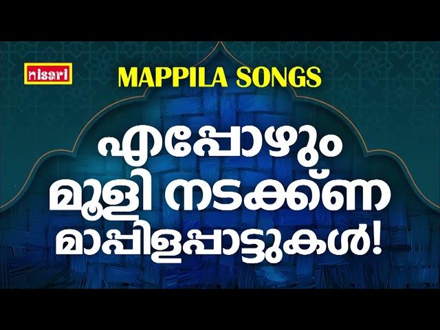 KANNUR ZEENATH MAPPILAPATTUKAL | Malayalam Mappila Songs | Pazhayamappila Songs