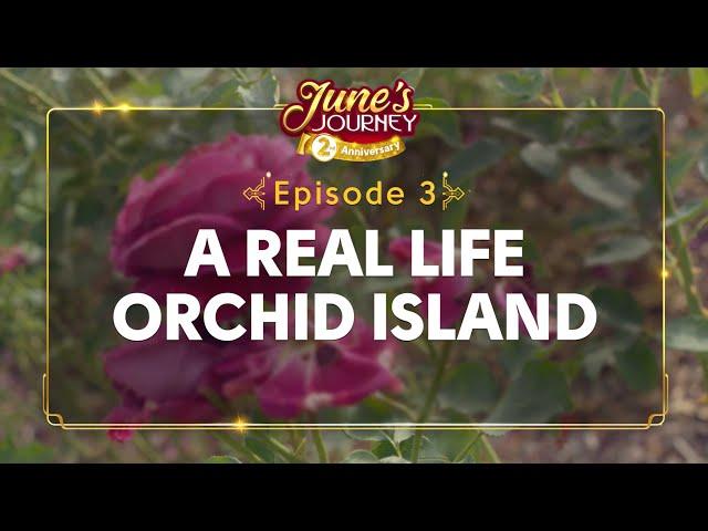 A REAL LIFE Orchid Island?! (Hidden Talents - Episode 3)