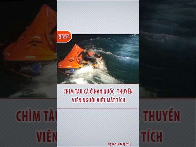 Chìm tàu cá ở Hàn Quốc, thuyền viên người Việt mất tích #shortvideo #tintuc24h #news #tintuc #tinmoi