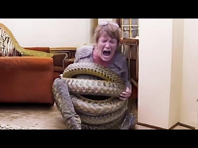 20 DEADLIEST Snake Encounters Caught On Camera