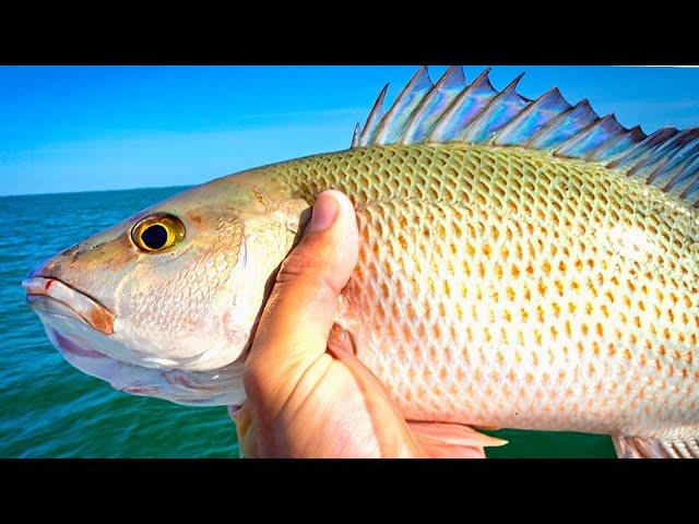 EPIC Mangrove Snapper Fishing Offshore (Dropped GoPro Down To The Bottom)