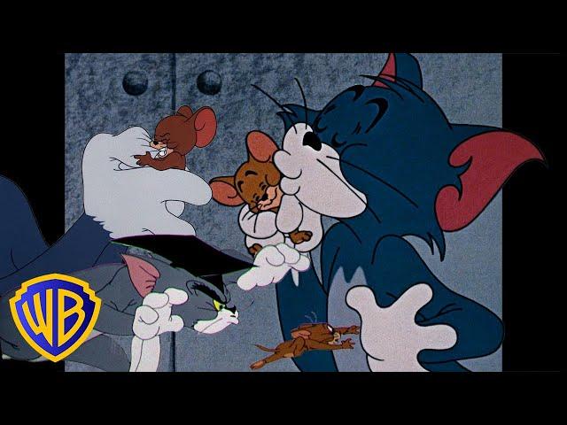 Tom y Jerry en Latino | Los mejores amienemigos que existen  | @WBKidsLatino