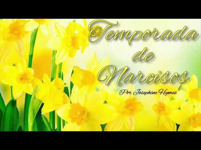 La Temporada de Narcisos |Capítulo 8| Ballad 1, Opas 23 (Parte 2)