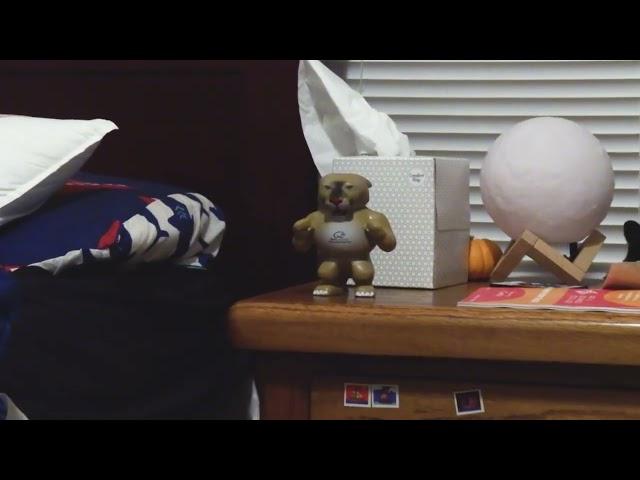 The Barney Shot