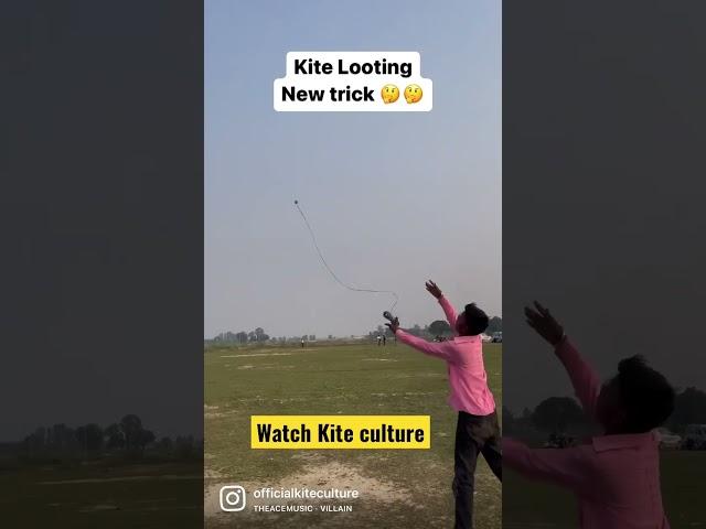 Kite Looting 