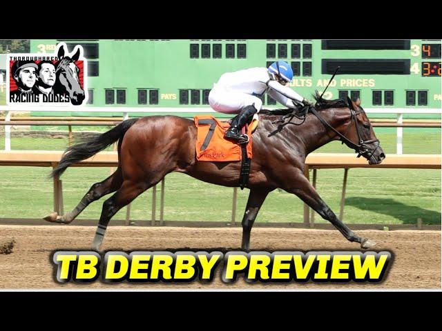 Tampa Bay Derby Picks and Preview 2025 | Kentucky Derby Prep Race