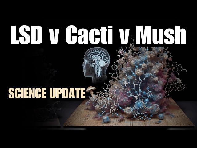 LSD, Mescaline Effects Compared to Psilocybin, Science Update!