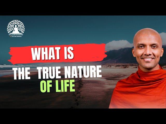 What is the true nature of life? | Buddhism in English #lifeanddharma